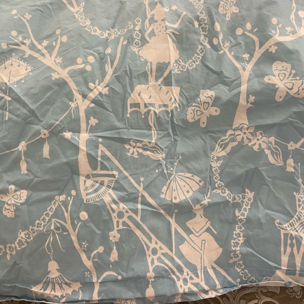 Potter Barn Kids Duvet & sheets set